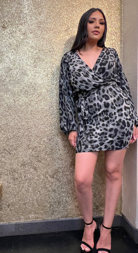 Leopard long sleeve dress